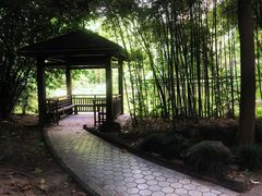 -世纪同乐绿地世纪城二期