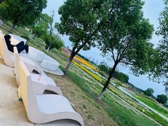 -苏州湾体育公园
