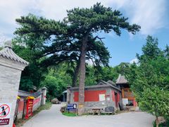 -阳台山自然风景区