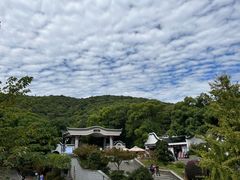 -岳麓山风景名胜区