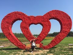 -北纬44度·金珠花海休闲农业旅游景区