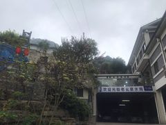 -老幺泉水鸡