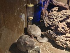 -蓬莱欧乐堡海洋极地世界