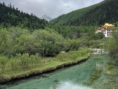 -稻城亚丁景区-冲古草甸