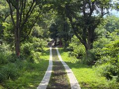 -青龙山国家森林公园