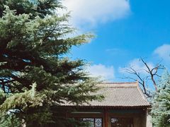 -汉长安城未央宫国家考古遗址公园