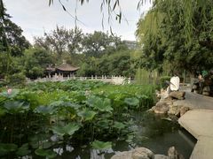 -莲湖公园