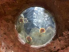 -珠海长隆海洋王国