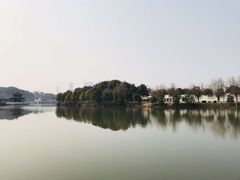-八大山人梅湖景区