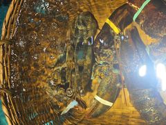 -拉完海鲜大排档(温岭店)