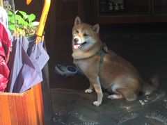 -龙环葡韵住宅式博物馆