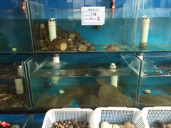 -龙悦私家菜馆·海鲜(悦海馨苑店)