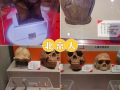 -天津自然博物馆