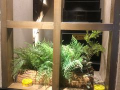 -耳艺采耳·足疗(东圃店)