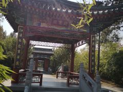-武汉园博园(武汉自然博物馆)