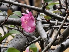 -新发现(苏州中心商场店)