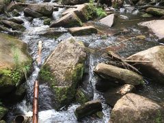 -汤旺河林海奇石景区