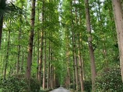 -上海怡沁园度假酒店