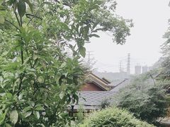 -耕渔小院·湖南鱼鲜(望城店)