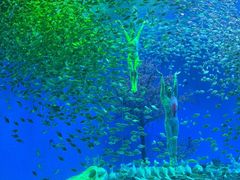 -合肥海洋世界