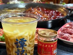 -谭记重庆老火锅(总店)
