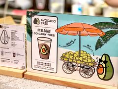 -油梨树AVOCADO TREE(嘉里中心店)