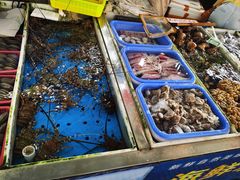 -南沙十九涌渔人码头-南门