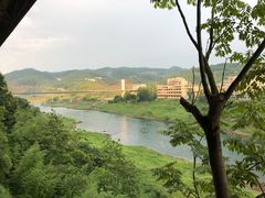 -江龙饭店·乌江豆腐鱼(乌江老桥头店)