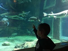 -华夏文旅海洋公园