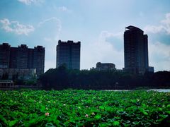 -荔湾湖公园