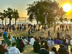 -八婆婆烧仙草(中山路店)