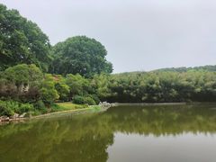 -河南省黄河迎宾馆