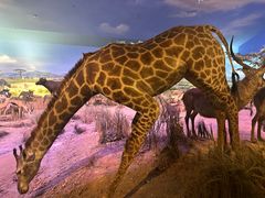 -天津自然博物馆