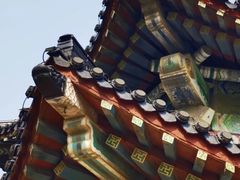 -九华山公园