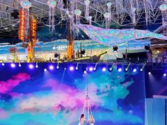 -海合安青岛极地海洋公园