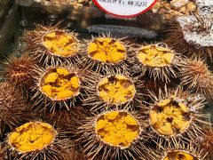 海胆-连鹭海鲜·海肠捞饭·欢聚宴请(星海店)