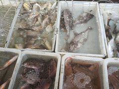 -先锋海鲜市场
