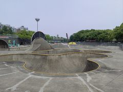 -新江湾城公园