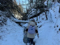 -峡谷浮石林景区