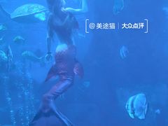 -太平洋海底世界