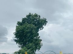 -八仔大富楼·河鲜(西江店)