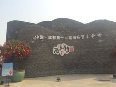 -秀丽东方