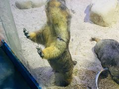 -常州海昌海洋探索馆