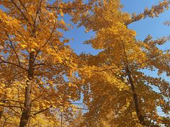 -森林公园(尖草坪区)