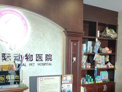 -宠爱国际动物医院·疑难骨科·心肾内科·皮肤科(太阳宫店)