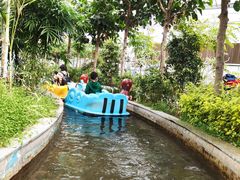 -南宫五洲植物乐园