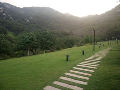 -厦门国家会计学院