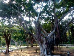 android_upload_pic-七珍佛山