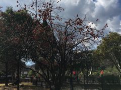 -毛泽东同志旧居