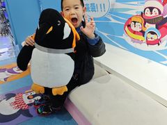 -海合安成都极地海洋公园